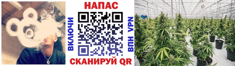 Купить Палласовка A PVP Бошки Шишки COCAIN Меф мяу мяу Гашиш