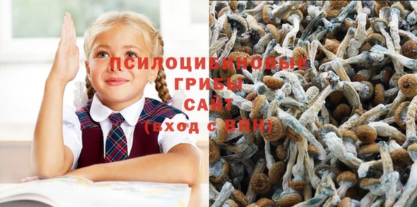 СК Новокубанск
