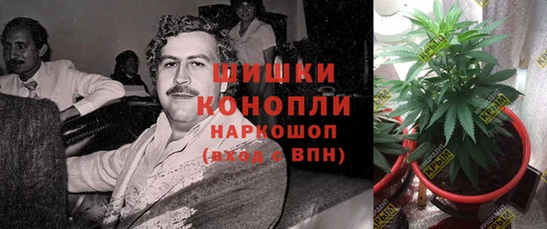 метадон Новозыбков