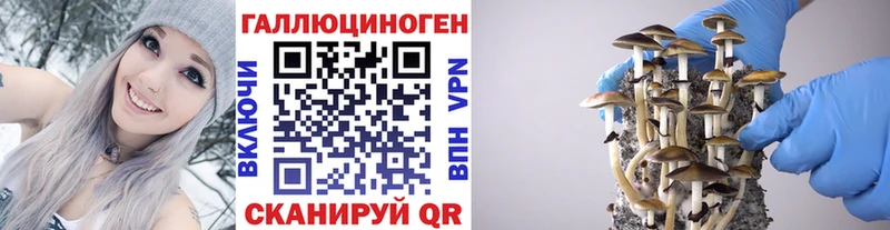 Псилоцибиновые грибы прущие грибы  купить   Палласовка 